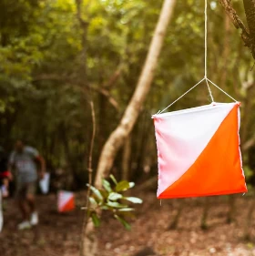 Orienteering